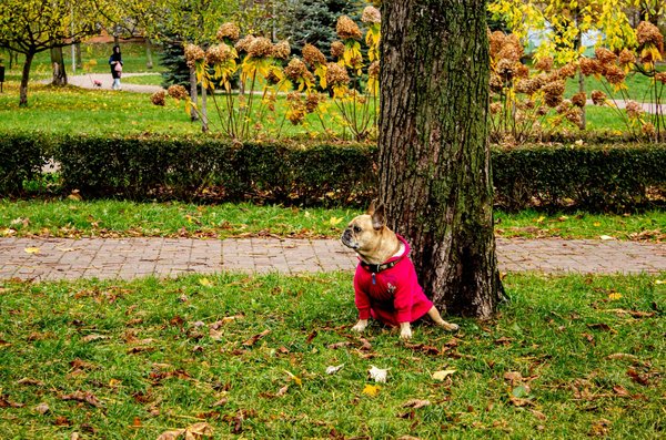 Hoe kun je de impact van trauma op de gezondheid van je patiënten begrijpen?